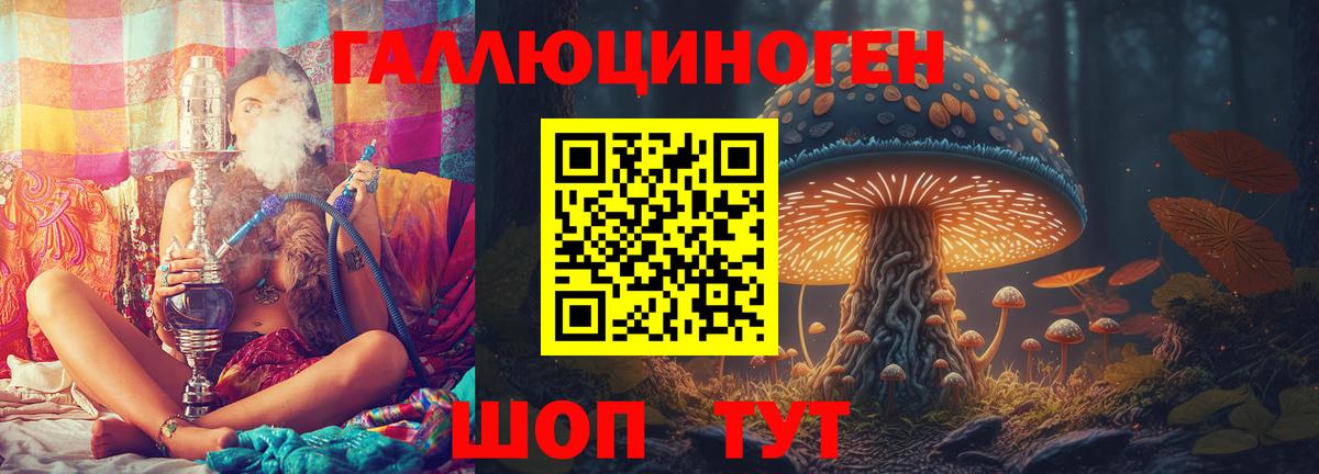 Серов  Псилоцибиновые грибы Cubensis  Вход с VPN 